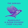 I Keep Calling-Boris Dlugosch & Cassara Remix Radio Edit