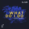 About What Do I Do-Dunisco Remix Song