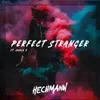 About Perfect Stranger Song