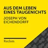 Aus dem Leben eines Taugenichts (Kapitel 1, Teil 02)