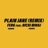 About Plain Jane REMIX Song