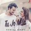 About Tu Jo Mila Song