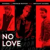 About No Love Song