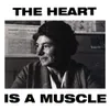 About The Heart Is a Muscle-Radio Edit Song