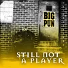 Still Not a Player (Remix) (Radio Version)