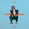 About Catch a Feeling Song