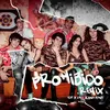 About Prohibido Remix Song