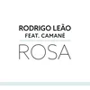 About Rosa (Camané) Song