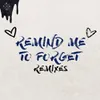 Remind Me to Forget Hook N Sling Remix