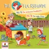 Fall 16: Die halbe Flöte (Teil 12)