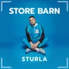 About Store Barn Song