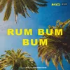 About Rum Bum Bum Song