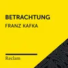 Betrachtung (02. Entlarvung eines Bauernfängers, Teil 01)