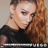 About Fuego Playmen Festival Remix Song