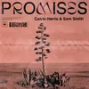 About Promises Song