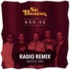 About Não Vá Radio Remix Song