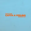 About Catch a Feeling-Bedroom Mix Song