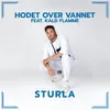 About Hodet Over Vannet Song