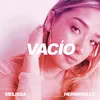 About Vacío Song