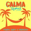 About Calma Remix Song