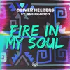 About Fire In My Soul Song