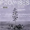 Promises-David Guetta Remix