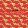 Animal de Domesticação