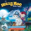 About How Hully Boo Got His Rattling Chain (Credits) Song