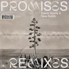 Promises (Franky Rizardo Remix)