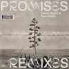Promises (Mousse T.'s Disco Shizzle Remix)