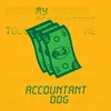 About Accountant Song