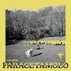 Paracetamolo TY1 Remix
