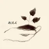 About Alice Song