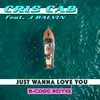 About Just Wanna Love You (B-Case Remix) Song