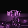 About Bad Boy Song