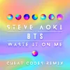 About Waste It On Me (Cheat Codes Remix) Song