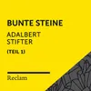 Bunte Steine 2. Einleitung, Teil 01