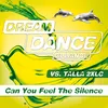 Can You Feel the Silence-Tom & Dexx Remix