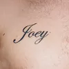 About Joey Cypher Song