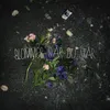 About Blommor där du står Song