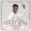 Mandingene (DJ Maphorisa Remix)