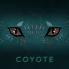 About Coyote Song