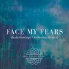 Face My Fears-Kaleidoscope Orchestra Remix