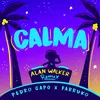Calma Alan Walker Remix