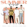 About Summer of My Life Song
