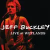 Je N'en Connais Pas La Fin (Live At Wetlands, New York, NY, August 16, 1994)