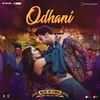 About Odhani (From "Made in China") Song