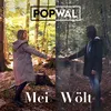 Mei Wölt-Radio Version