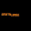 About Enter the Jungle Song