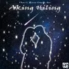 About Aking Hiling (Feat. Bei) Song